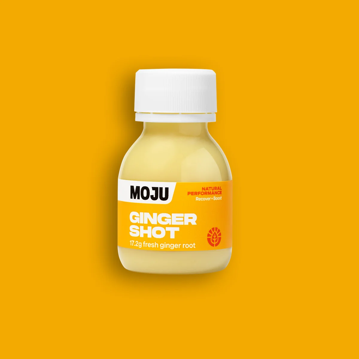 Ginger Shots 12x60ml